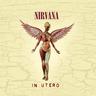 Cover of In Utero by Nirvana.