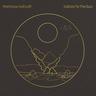 Cover of Salute to the Sun by Matthew Halsall.
