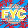 Cover of She Drives Me Crazy by Fine Young Cannibals.