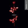 Cover of Violator by Depeche Mode.