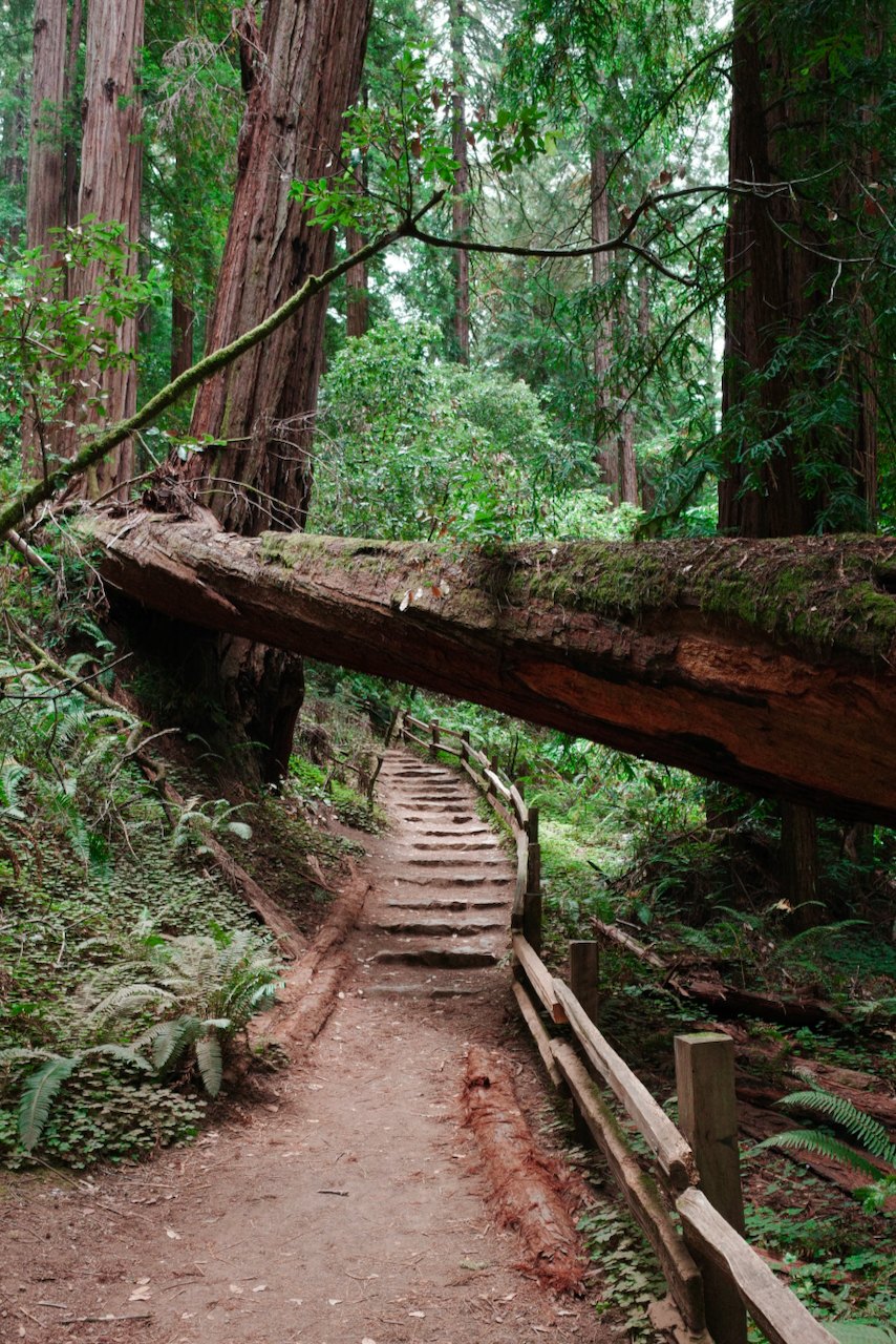 NorCal, photograph 14