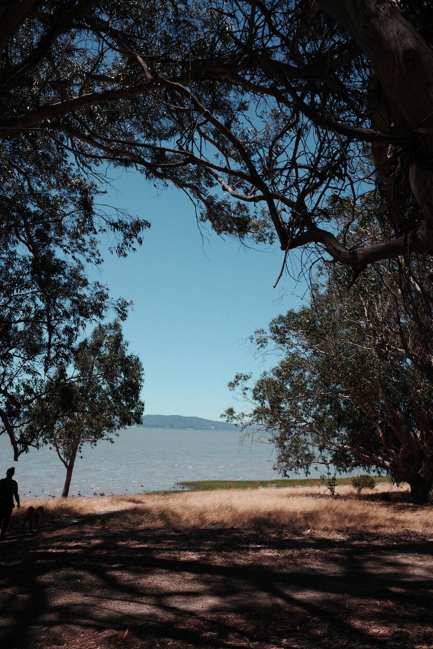 NorCal, photograph 15