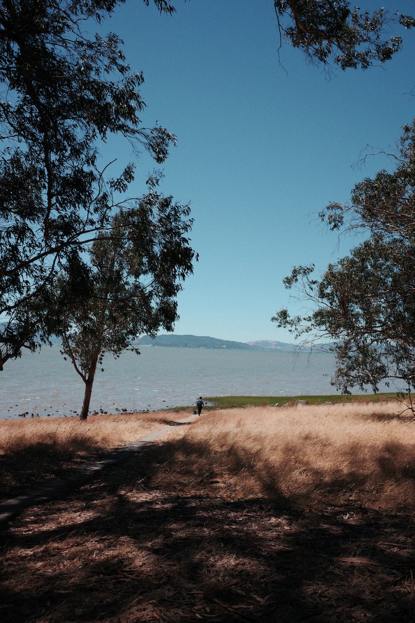 NorCal, photograph 17