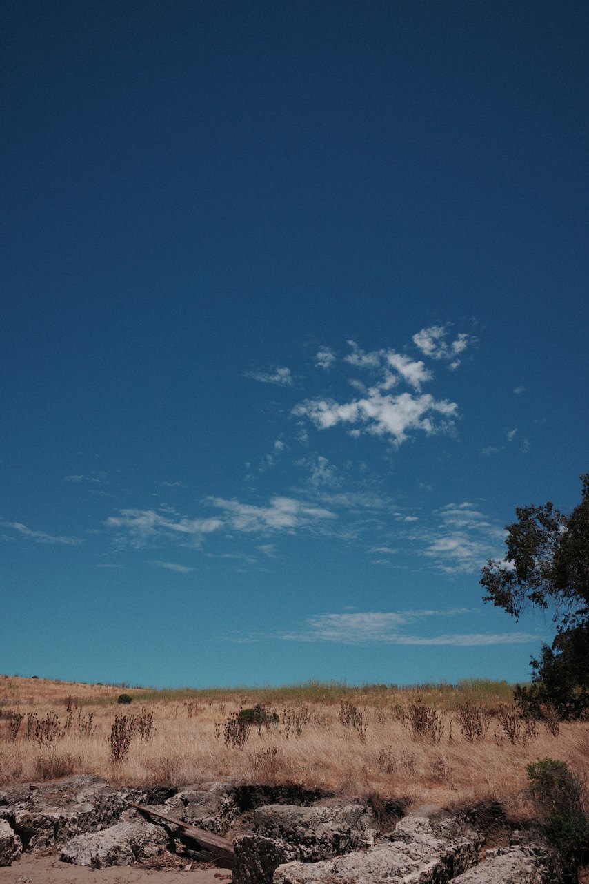 NorCal, photograph 18