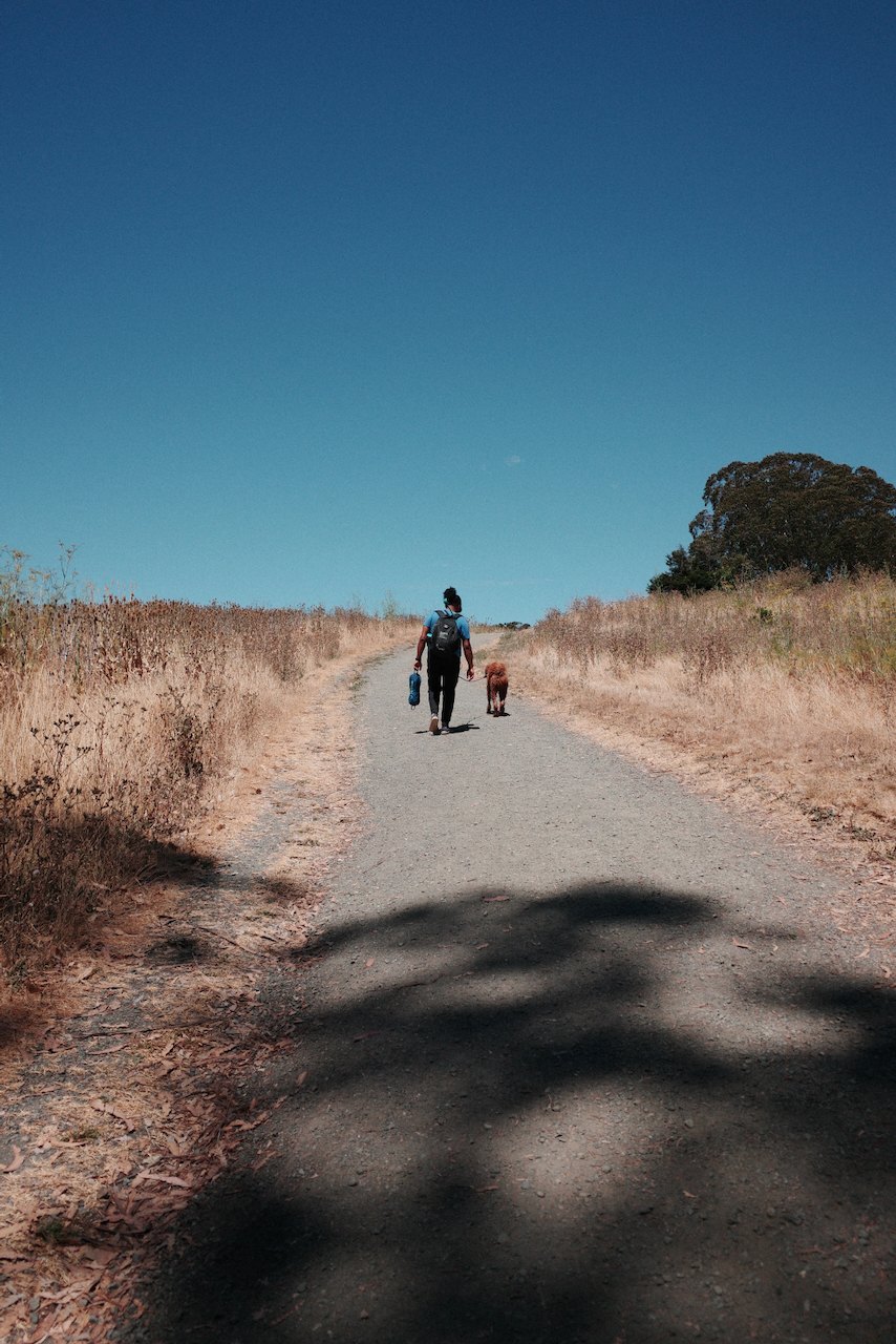 NorCal, photograph 20