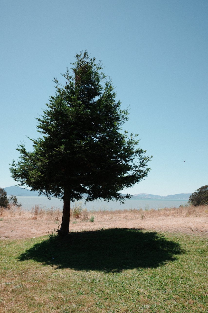NorCal, photograph 21
