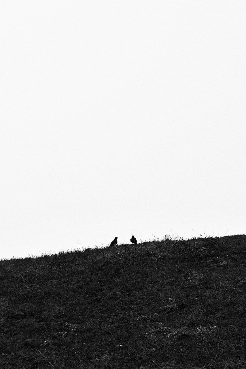 NorCal, photograph 24