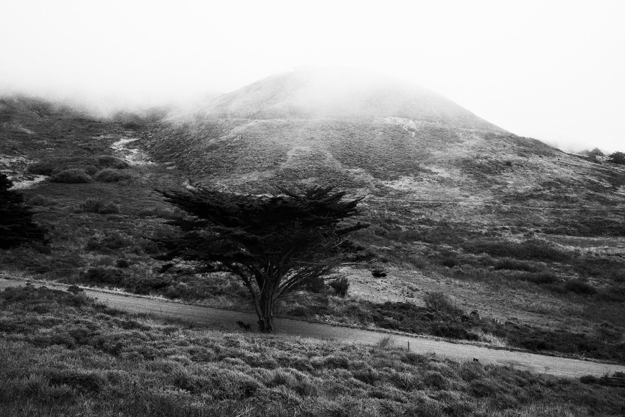 NorCal, photograph 25