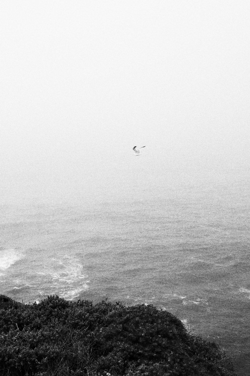 NorCal, photograph 37