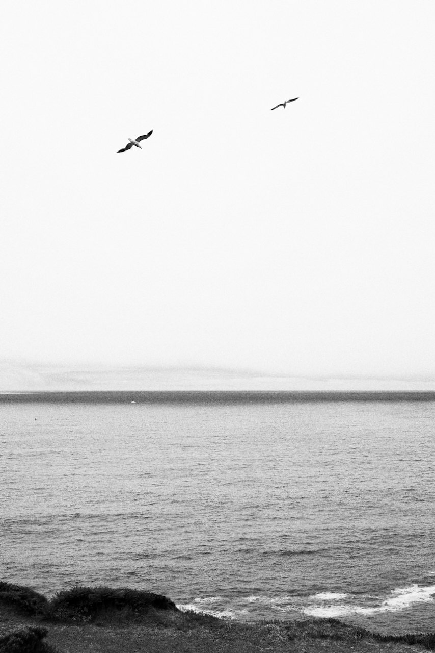 NorCal, photograph 39