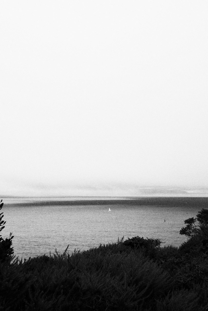 NorCal, photograph 40