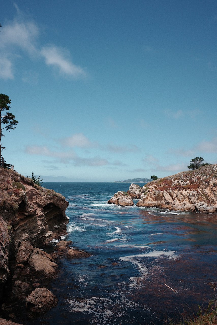 NorCal, photograph 47