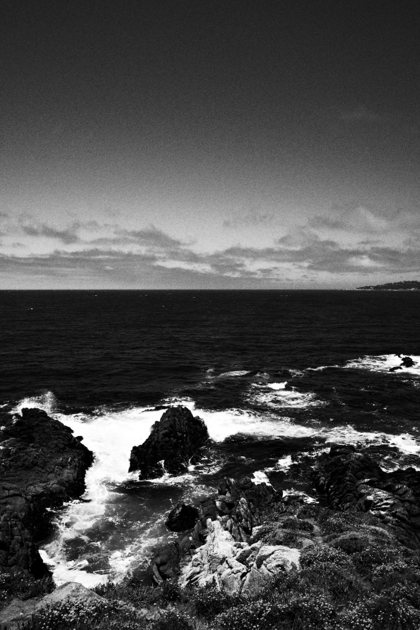 NorCal, photograph 51