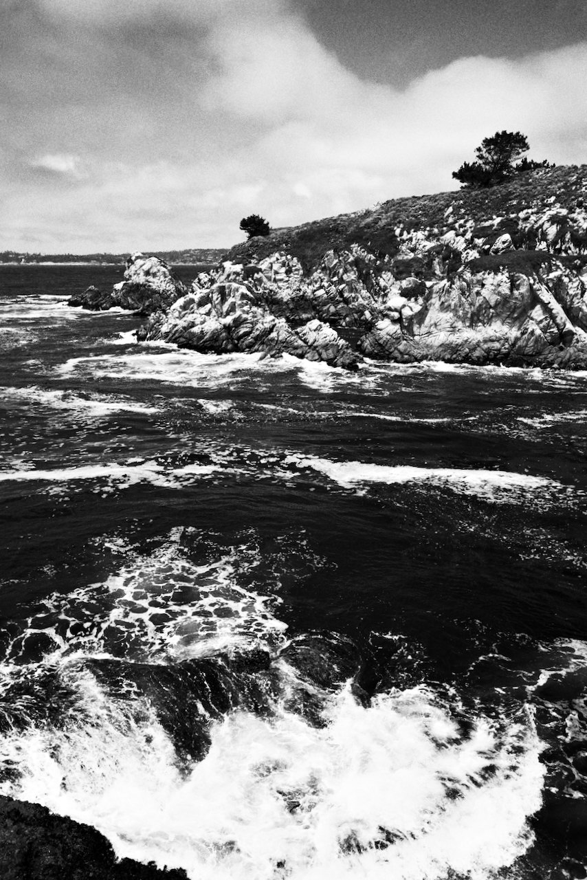 NorCal, photograph 59