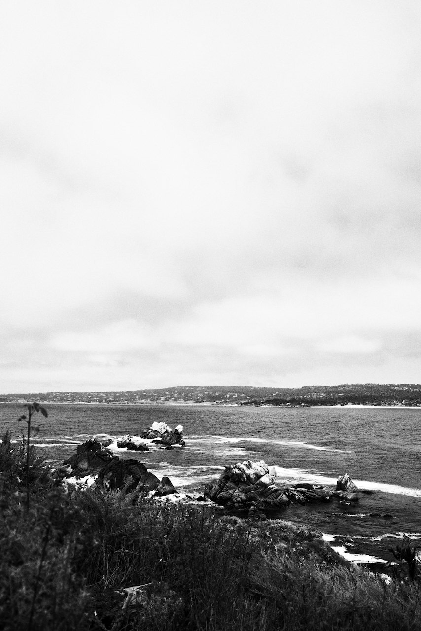 NorCal, photograph 62