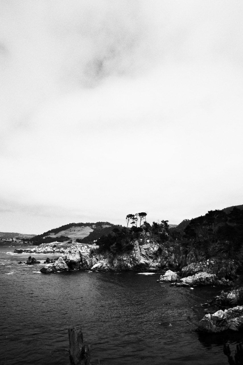 NorCal, photograph 63