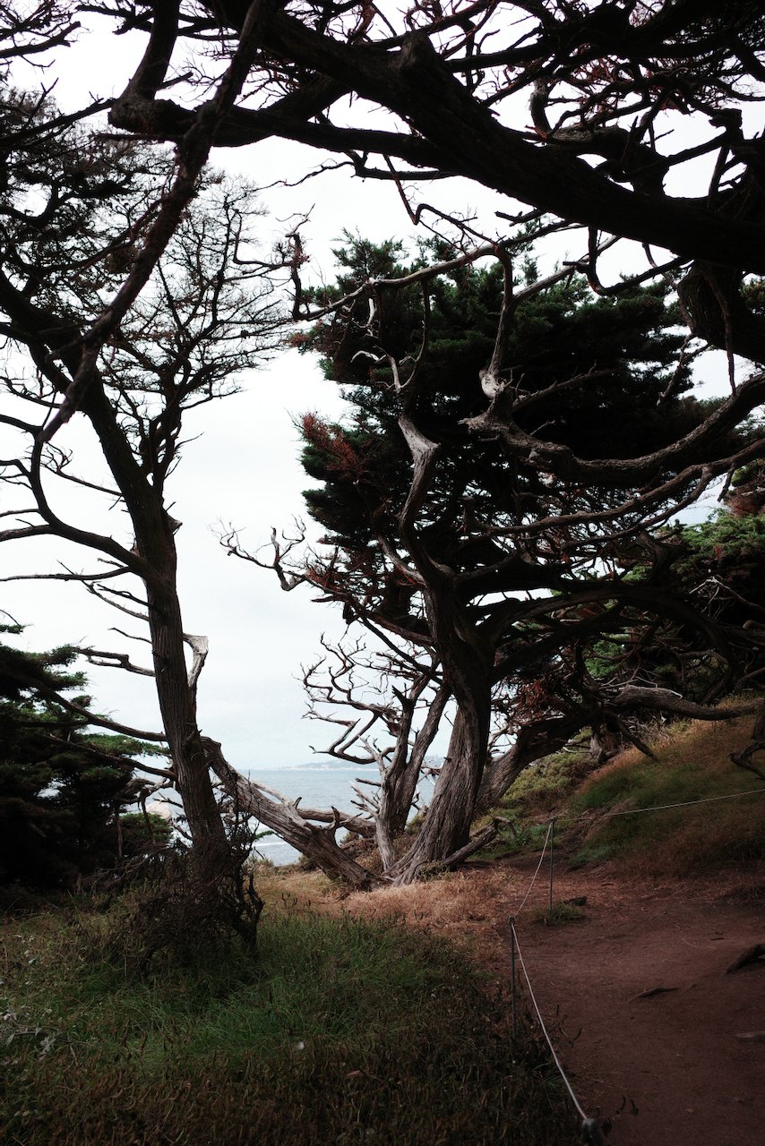NorCal, photograph 64