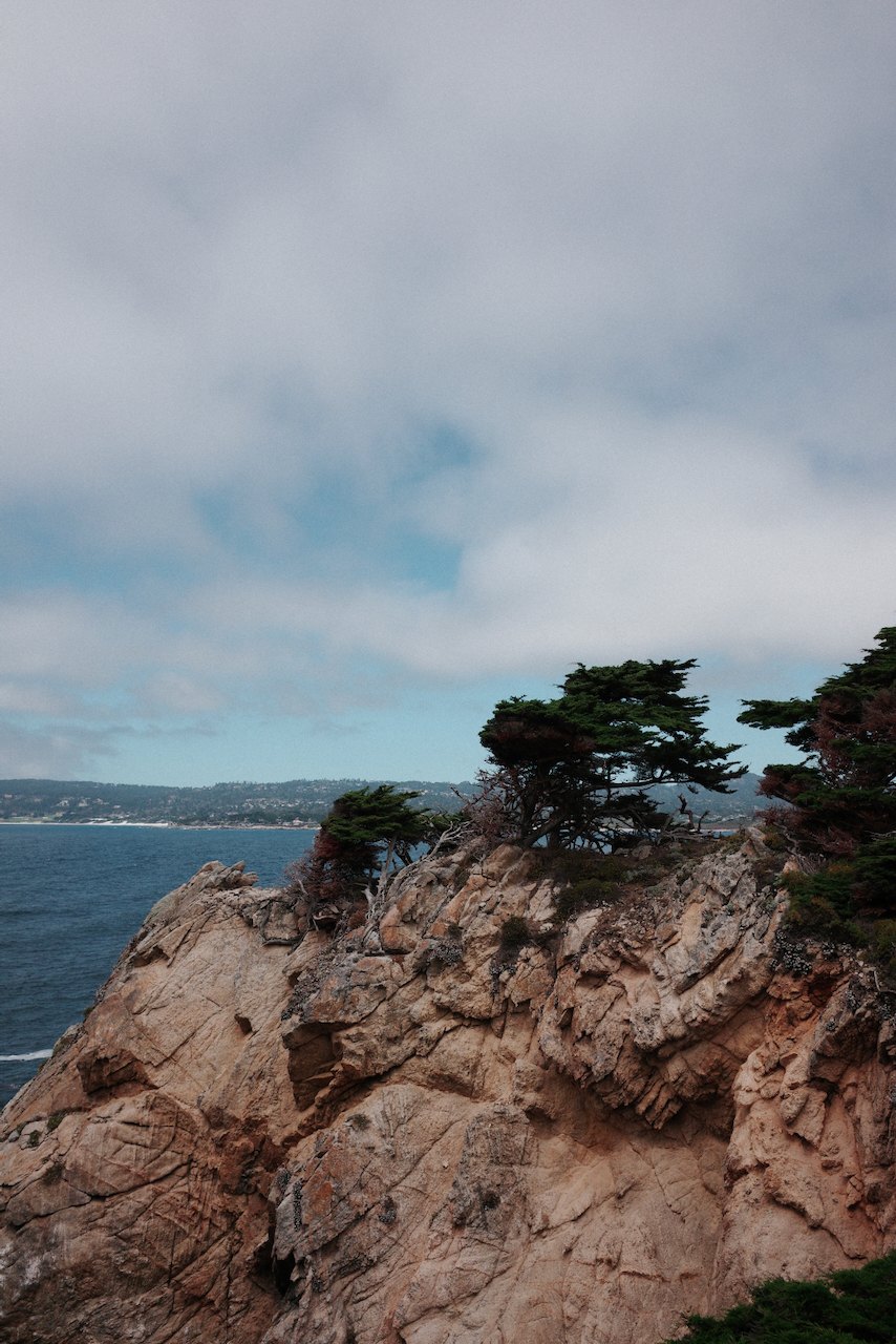 NorCal, photograph 66