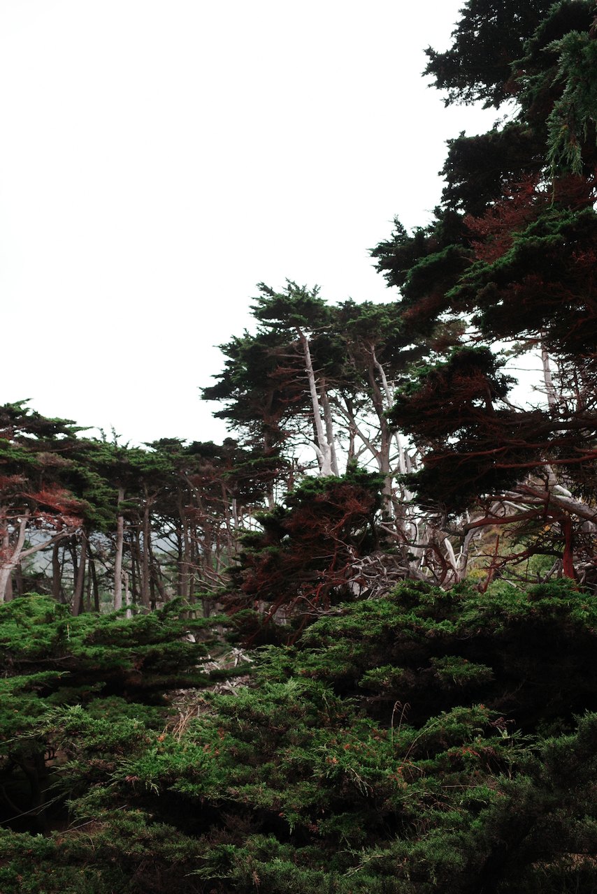 NorCal, photograph 67