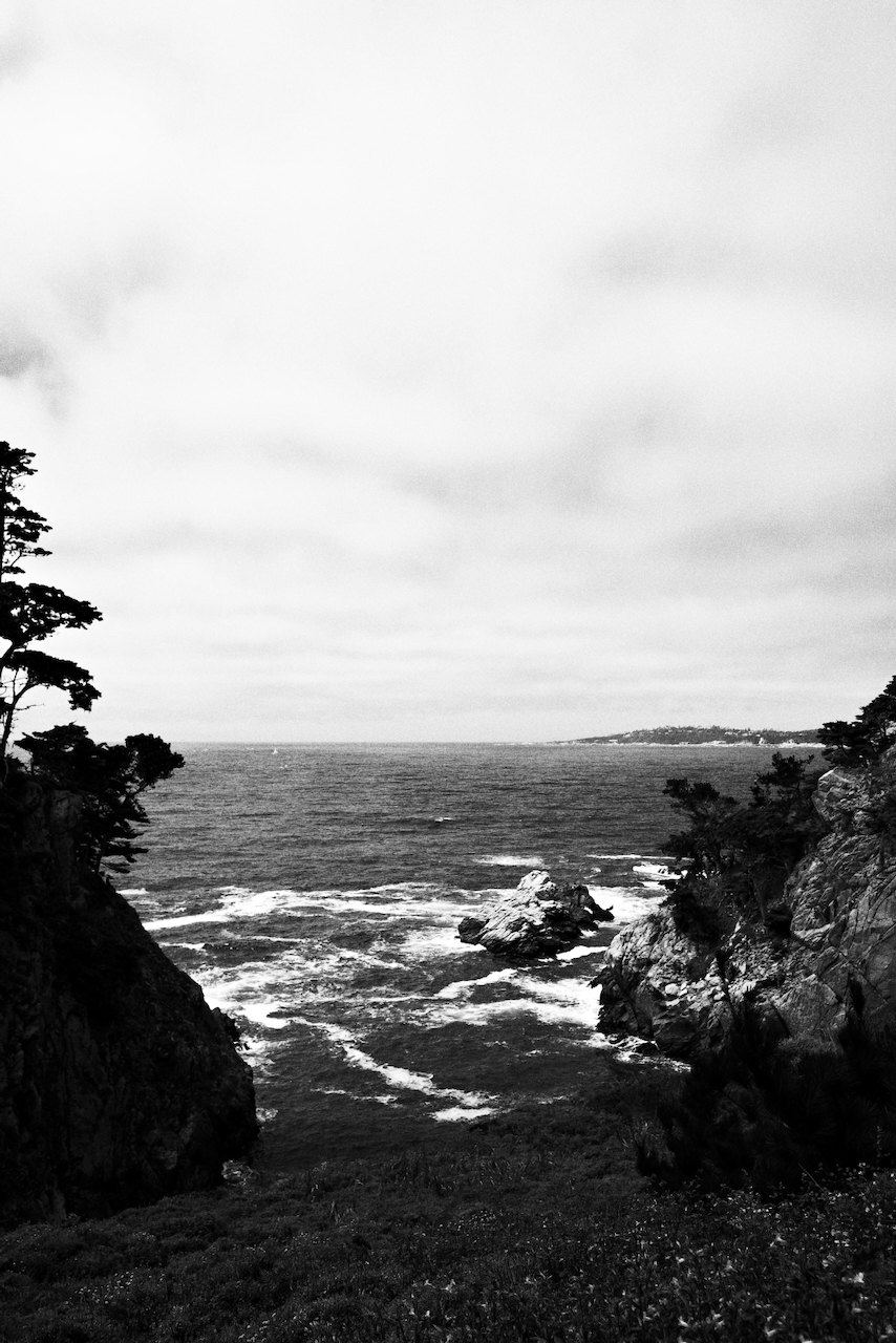 NorCal, photograph 68