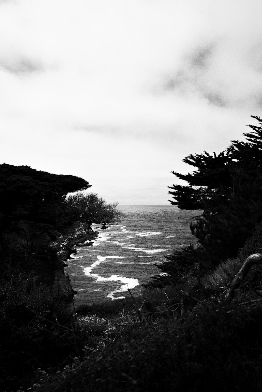 NorCal, photograph 69