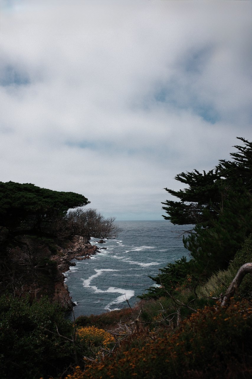 NorCal, photograph 70