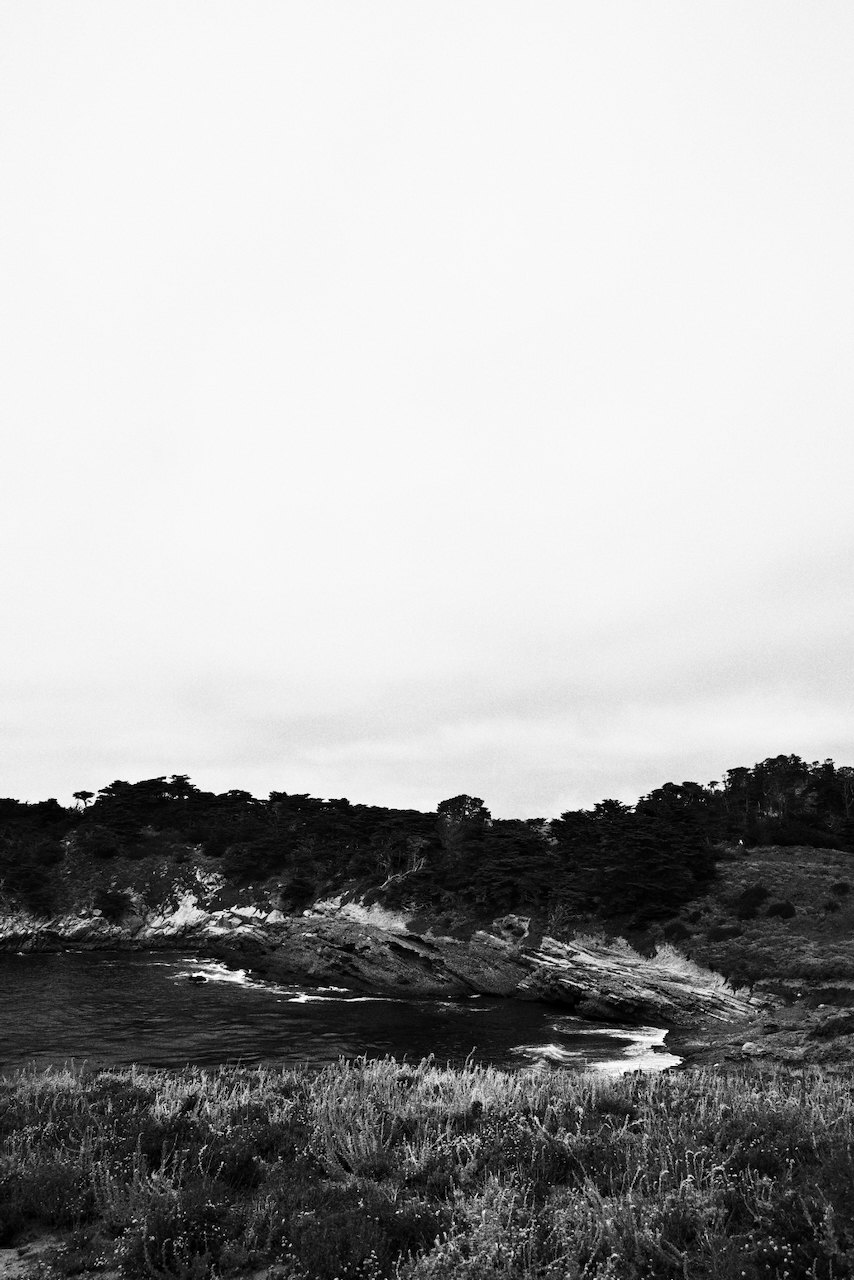 NorCal, photograph 74