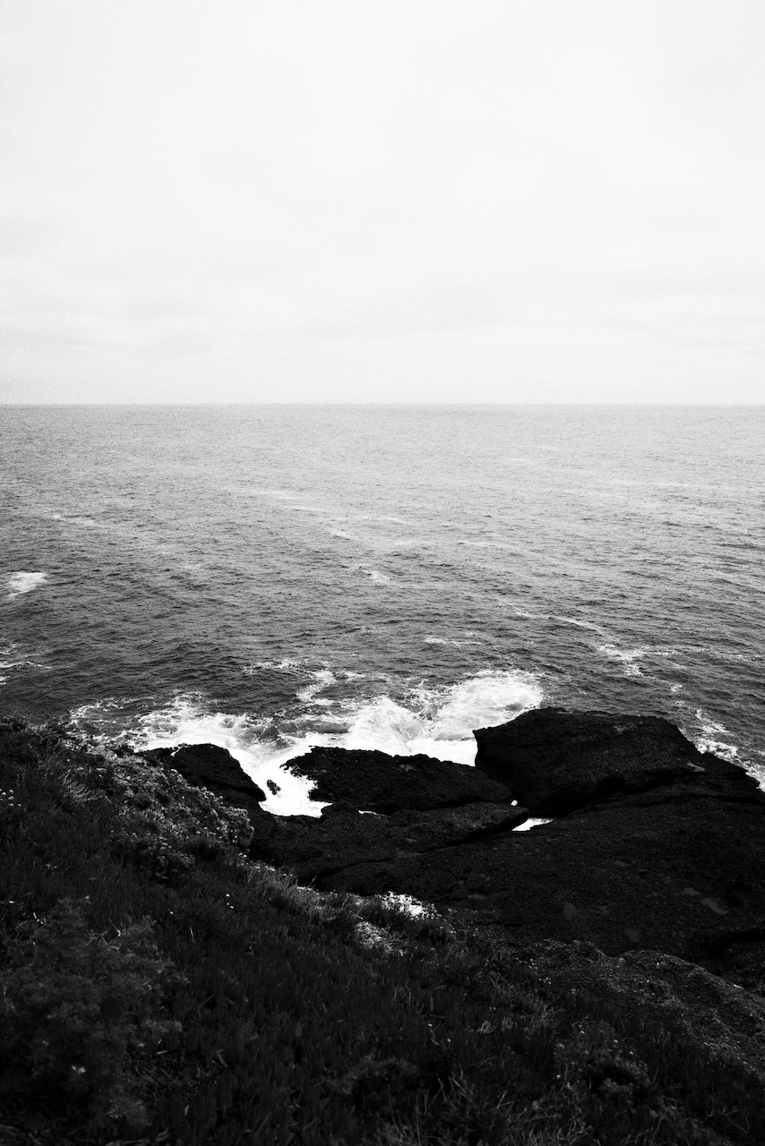 NorCal, photograph 77