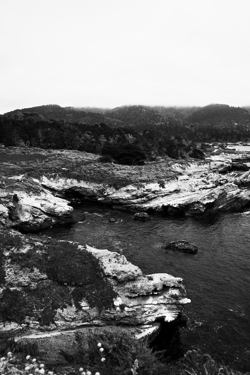 NorCal, photograph 78