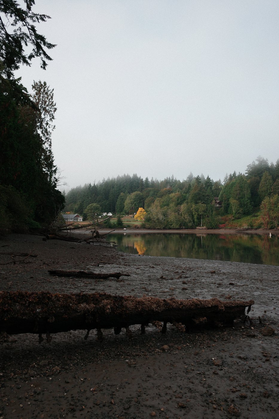 Pacific NW, photograph 4