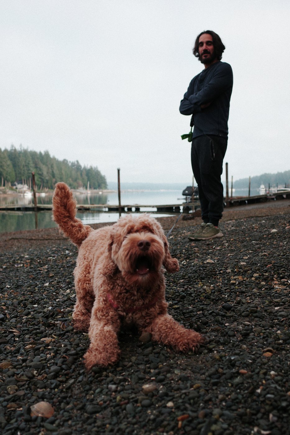 Pacific NW, photograph 5