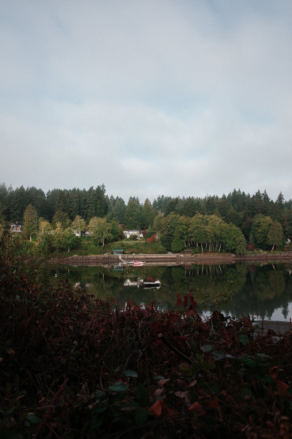 Pacific NW, photograph 6