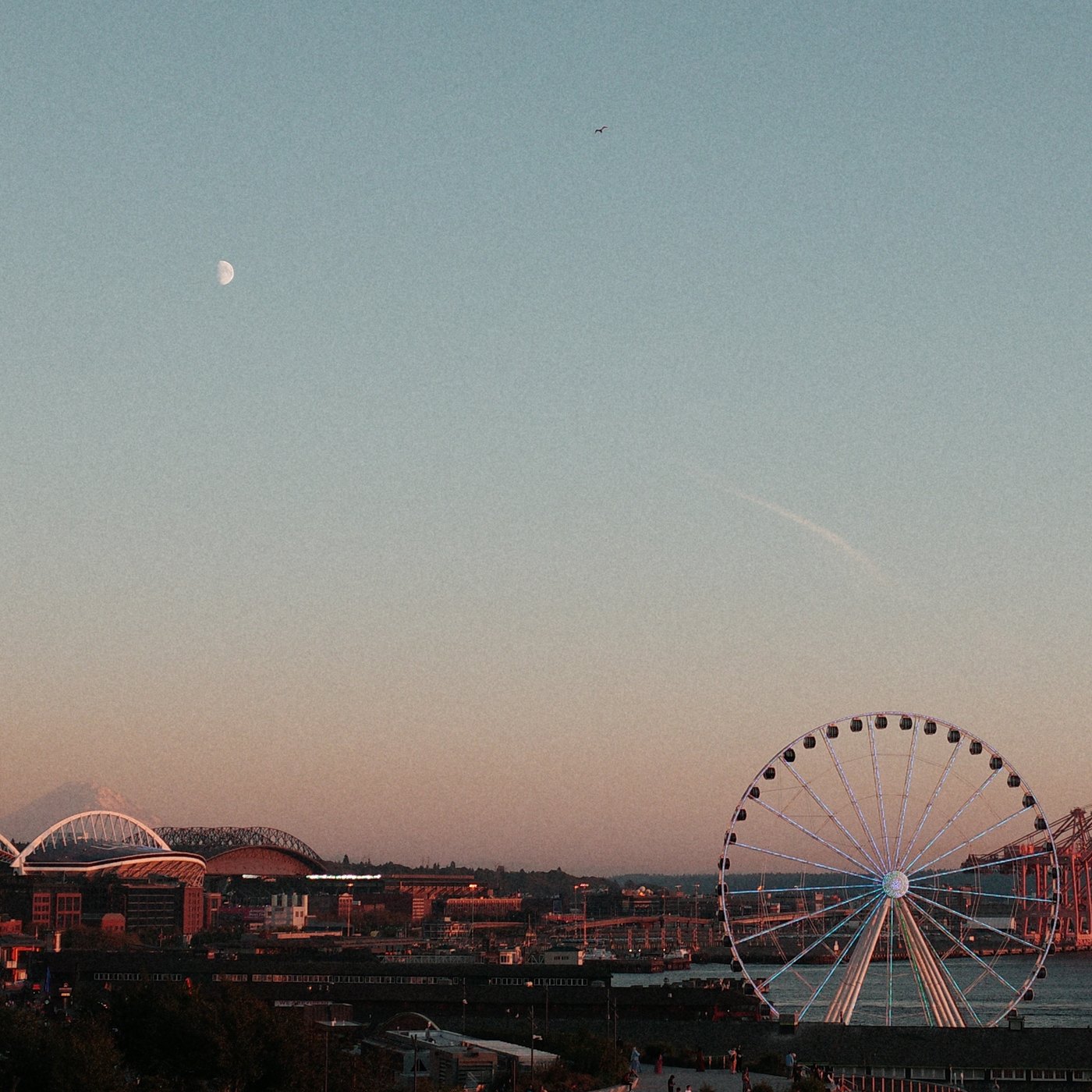 Pacific NW, photograph 10