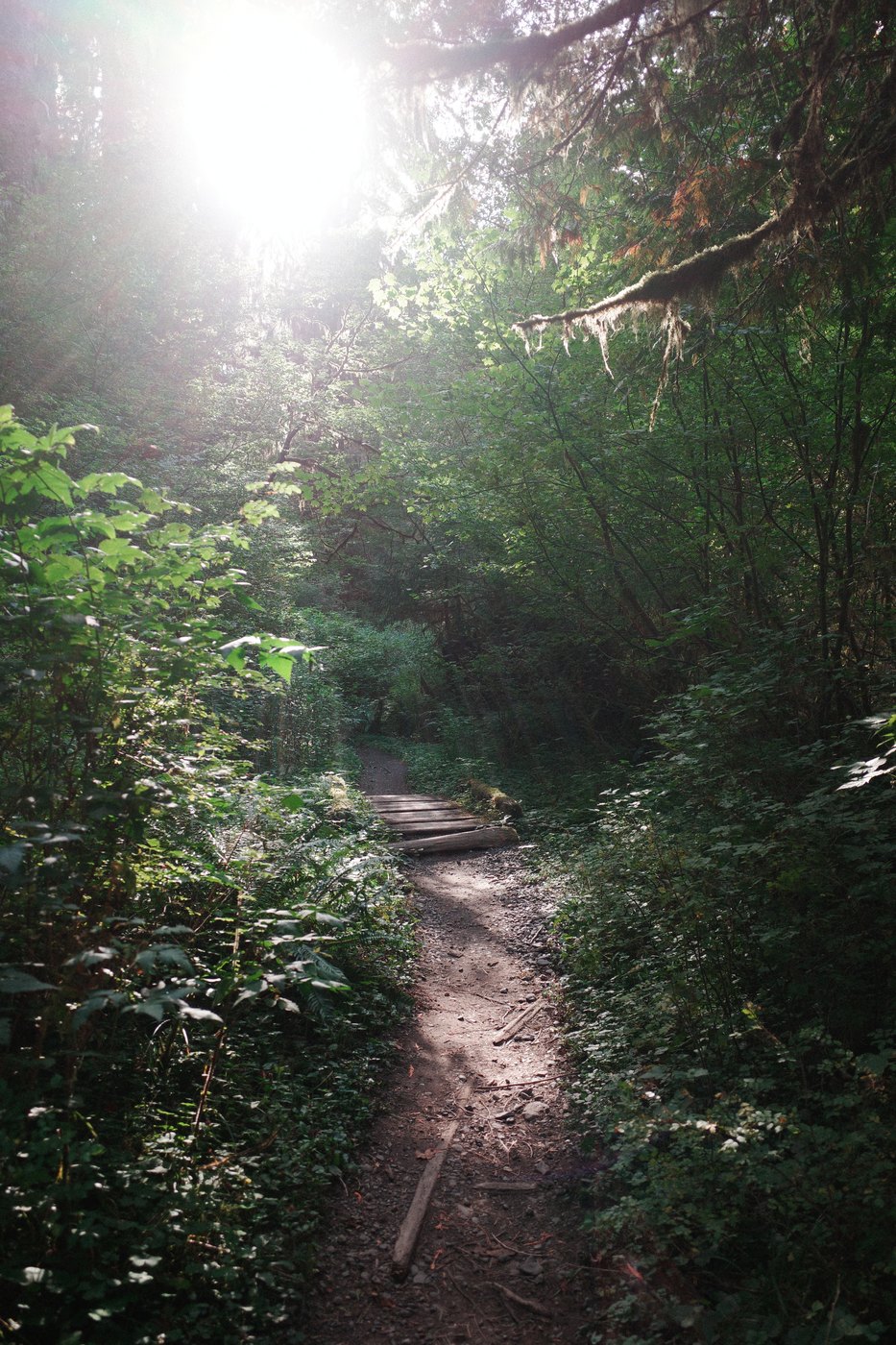 Pacific NW, photograph 104