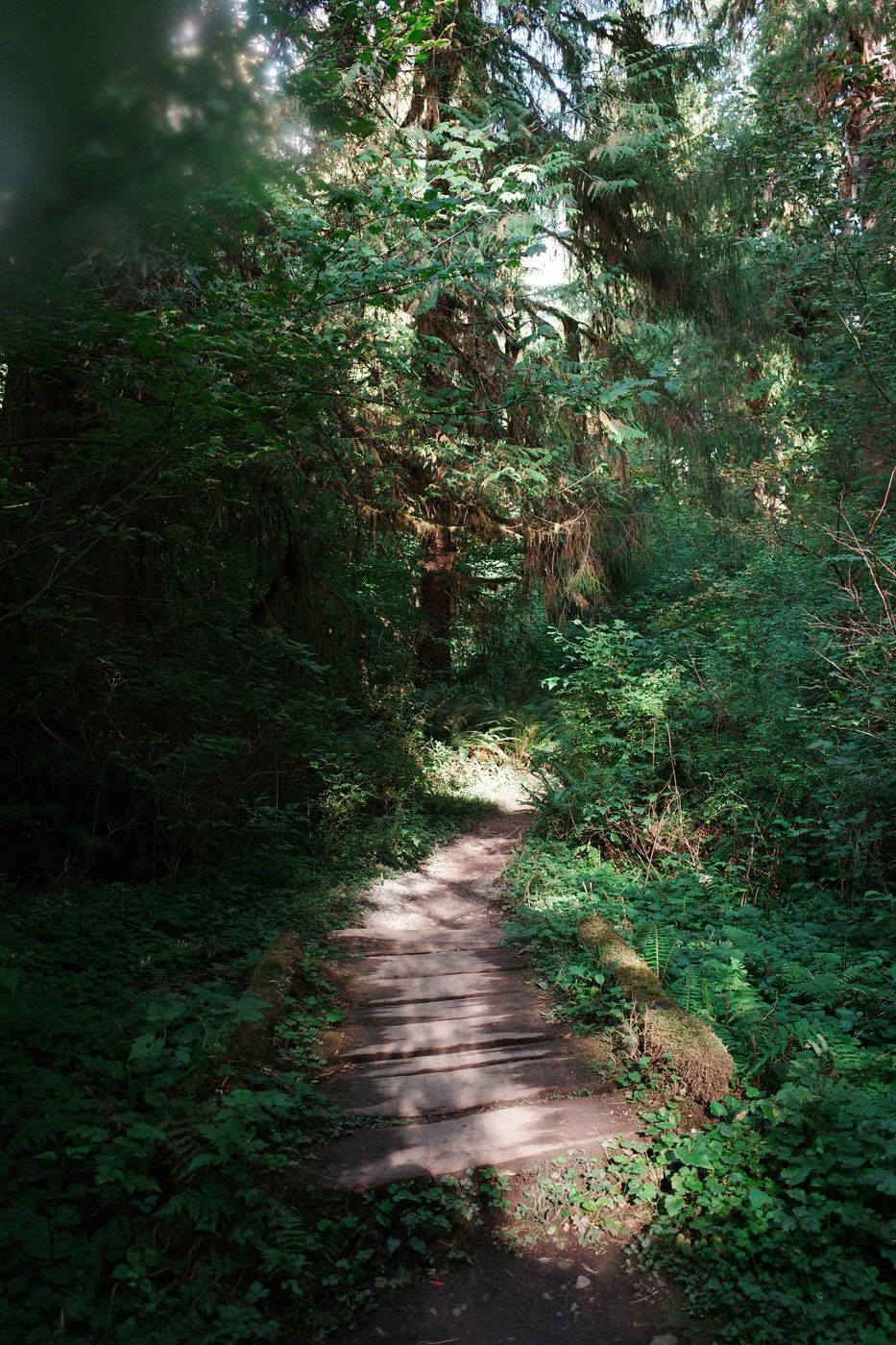 Pacific NW, photograph 105