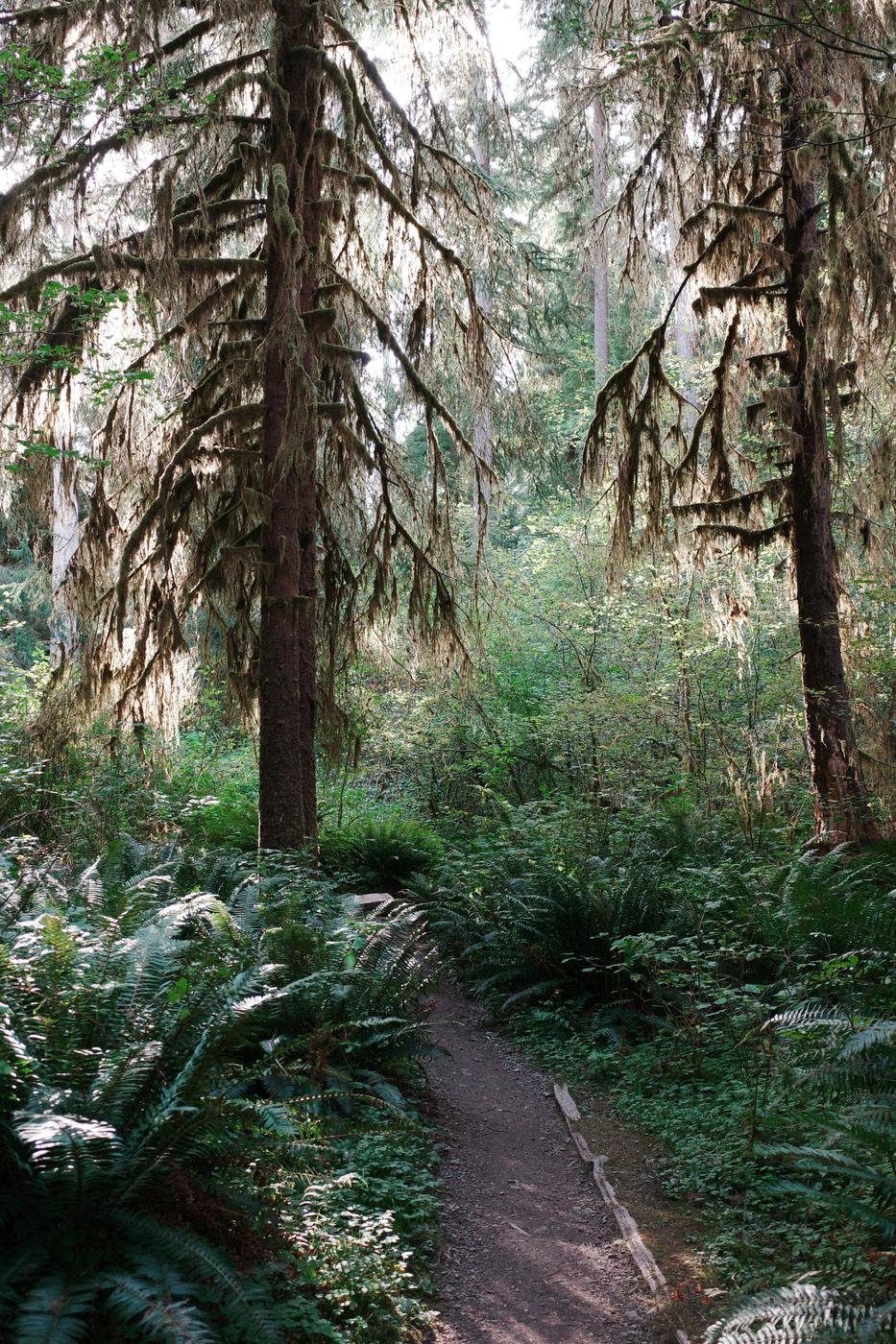 Pacific NW, photograph 106
