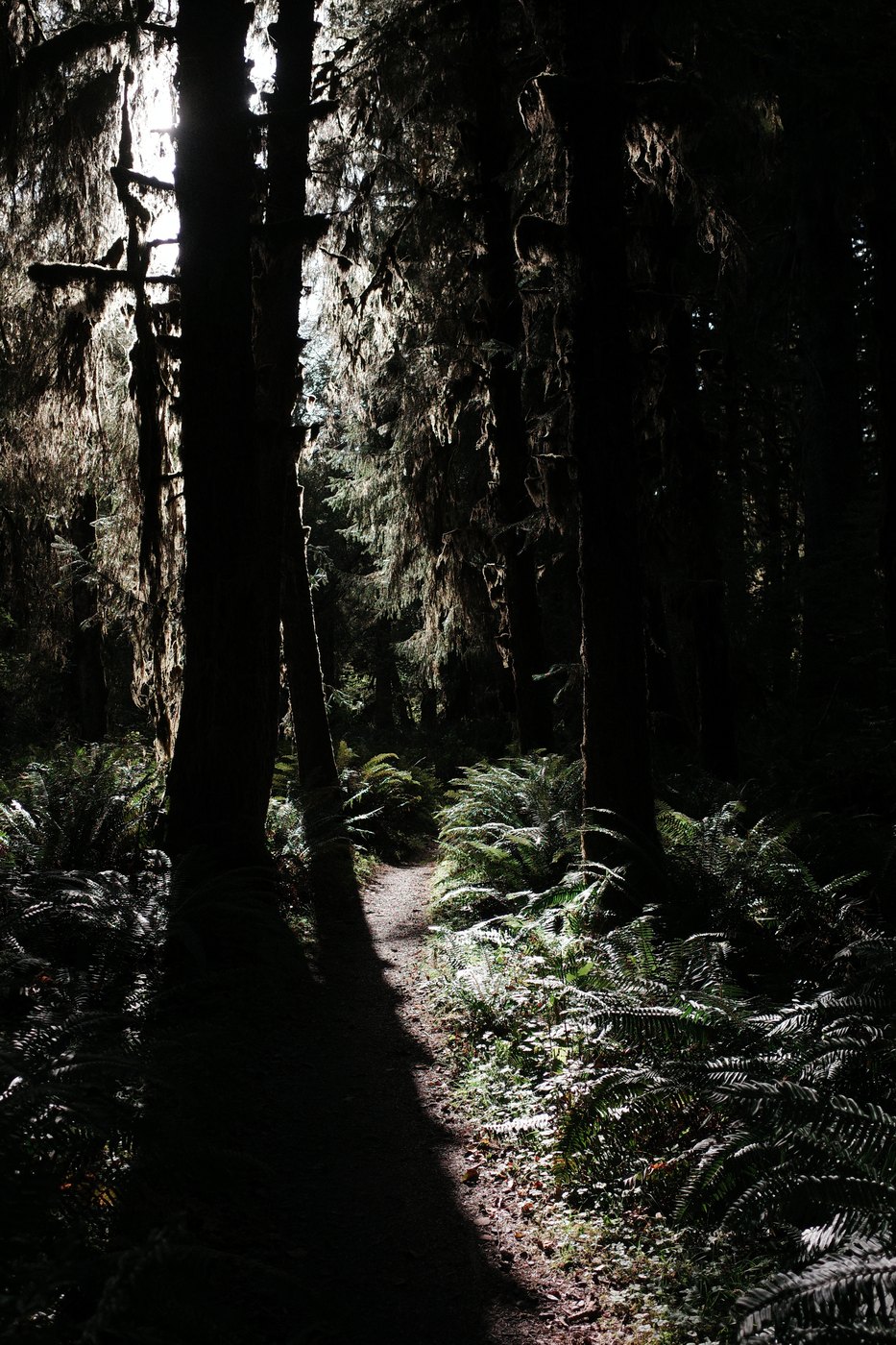 Pacific NW, photograph 111