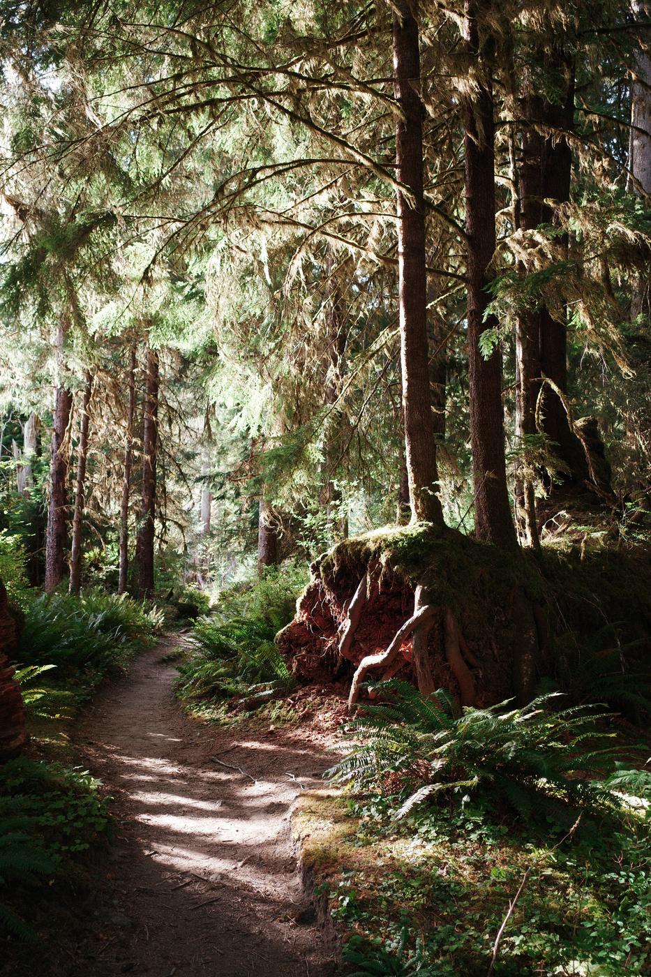 Pacific NW, photograph 113