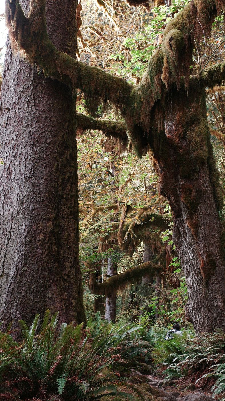 Pacific NW, photograph 115