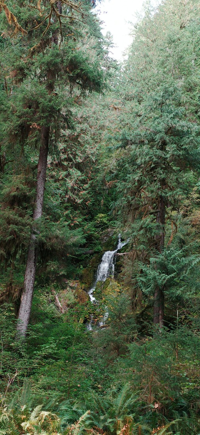Pacific NW, photograph 118