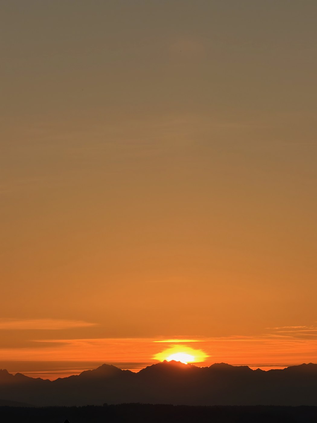 Pacific NW, photograph 12