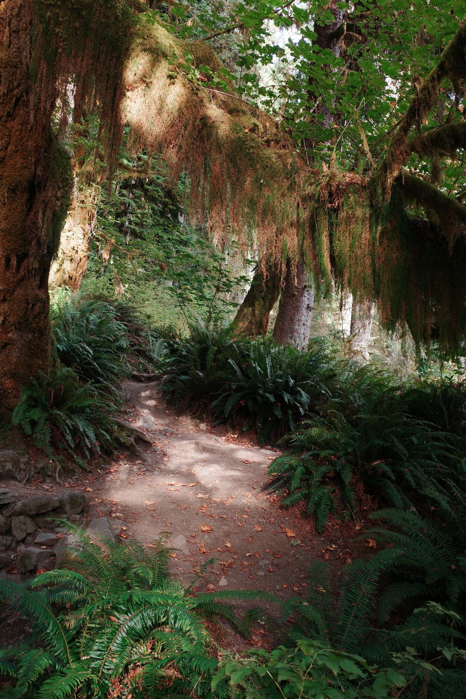 Pacific NW, photograph 122