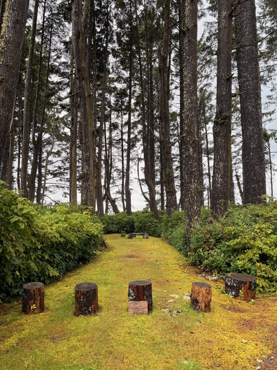 Pacific NW, photograph 126