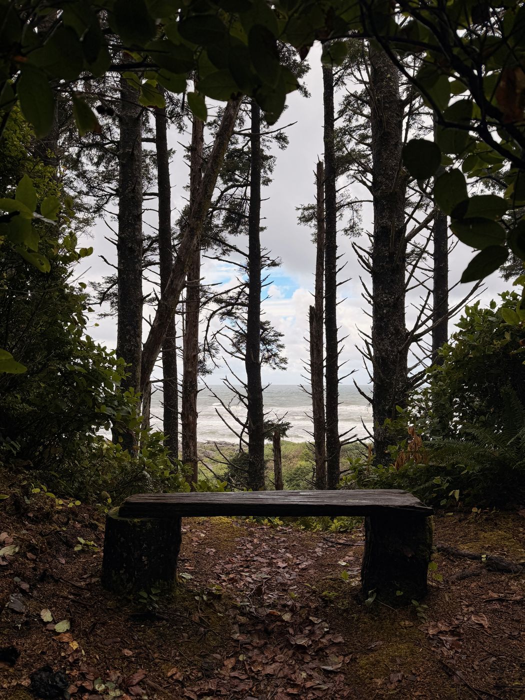 Pacific NW, photograph 127