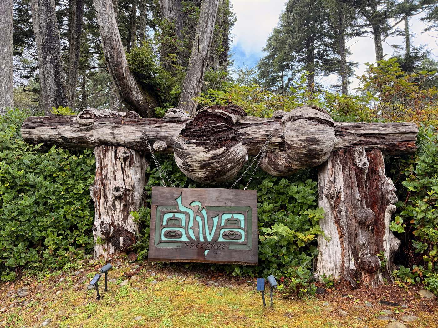 Pacific NW, photograph 128