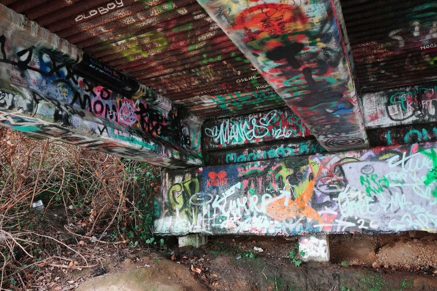 Pacific NW, photograph 135
