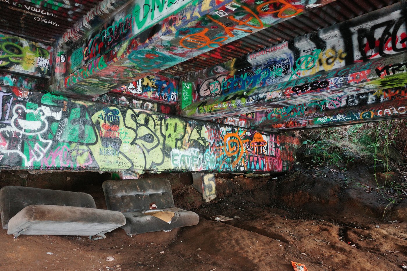 Pacific NW, photograph 137