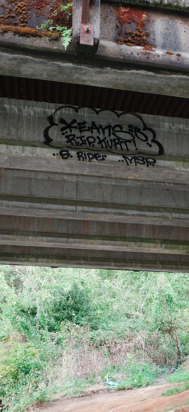 Pacific NW, photograph 138