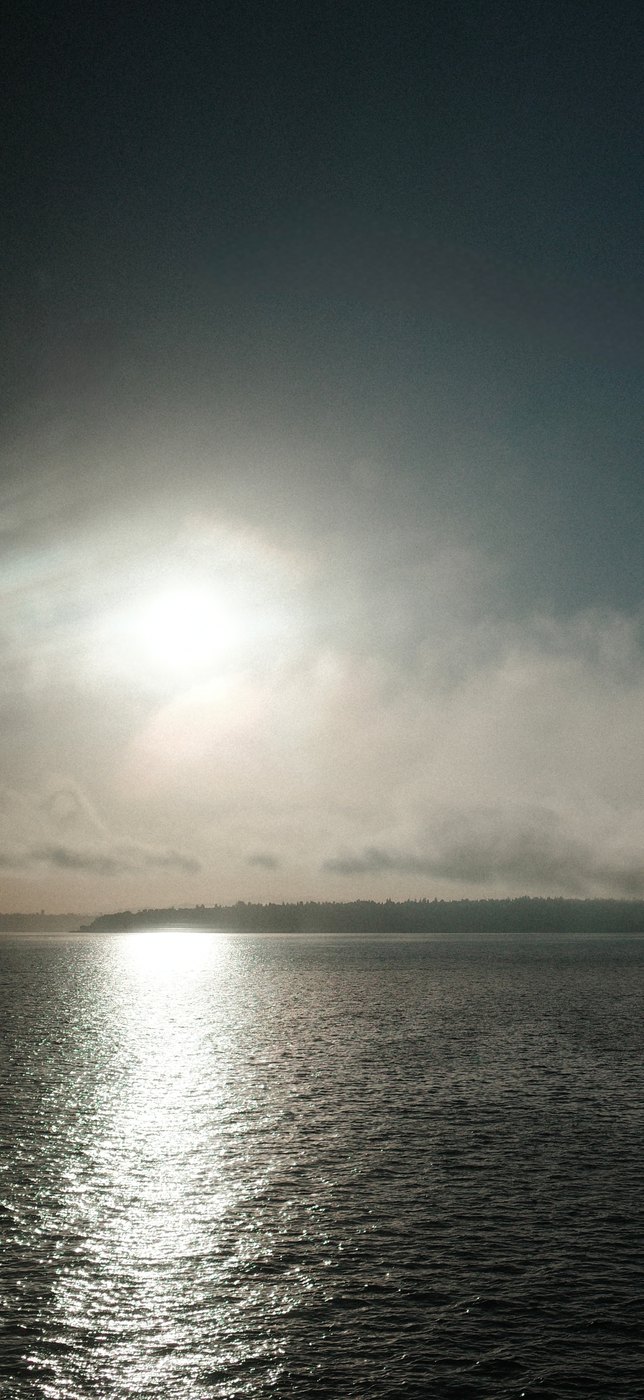 Pacific NW, photograph 146