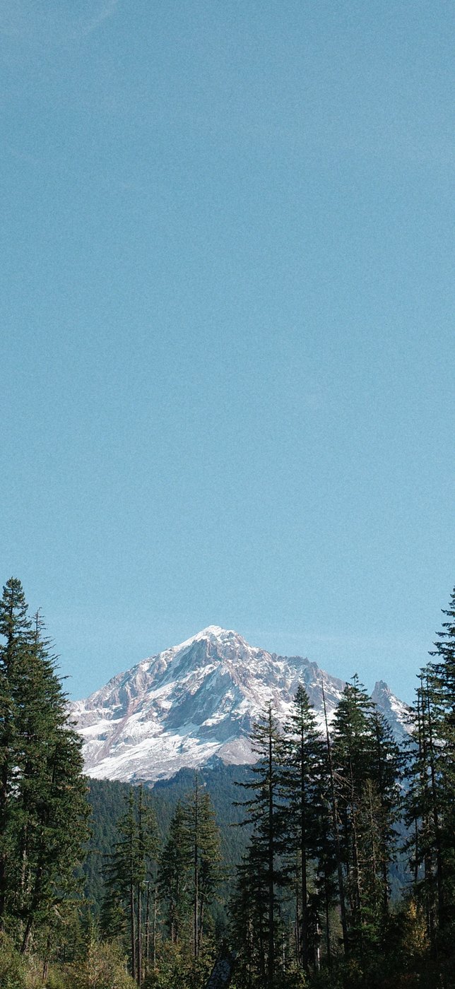 Pacific NW, photograph 149